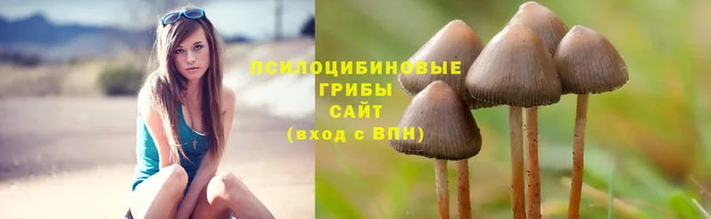 MEGA вход  Котово  Галлюциногенные грибы Magic Shrooms  как найти наркотики 